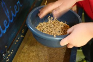 Nourrir avec les céréales de la ferme